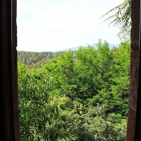 Belle et grande maison ardèchoise Payzac  Esterno foto