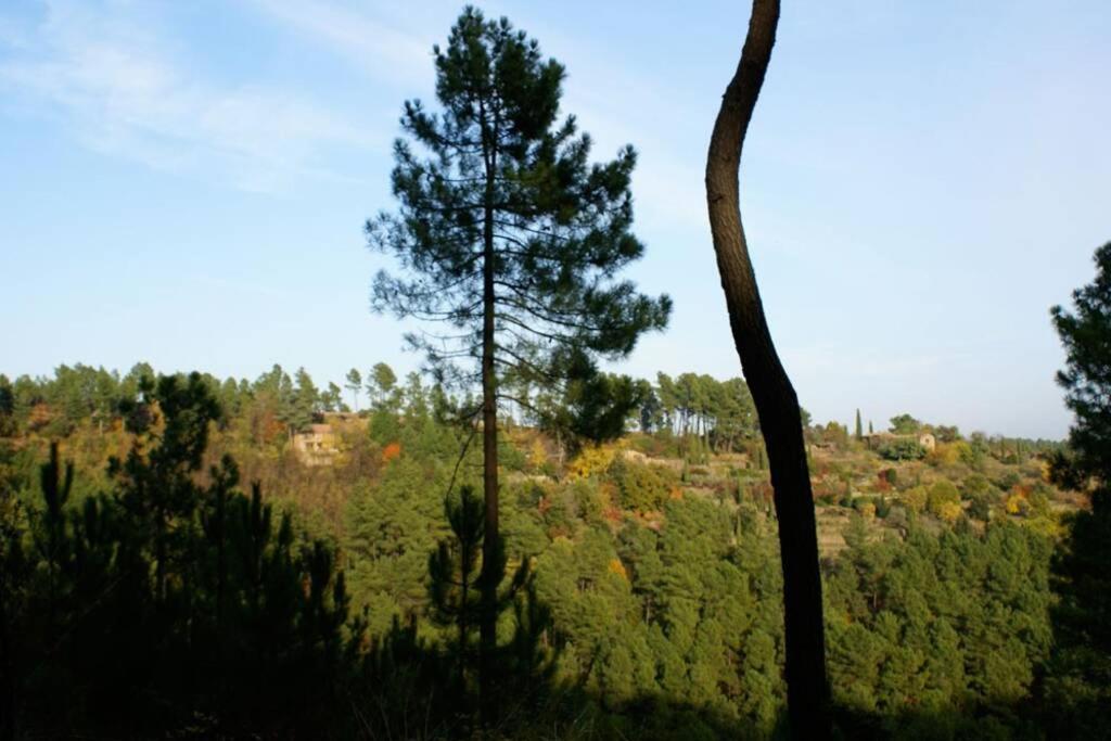 Belle et grande maison ardèchoise Villa Payzac  Esterno foto