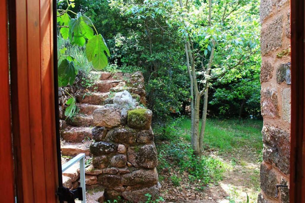 Belle et grande maison ardèchoise Payzac  Esterno foto